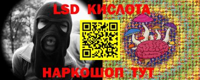 прущие грибы Среднеуральск
