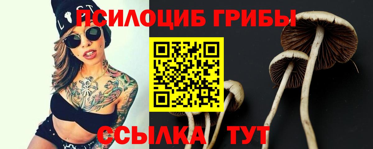 Псилоцибиновые грибы Psilocybe  Вход с VPN  Нововоронеж  Галлюциногенные грибы ЛСД 