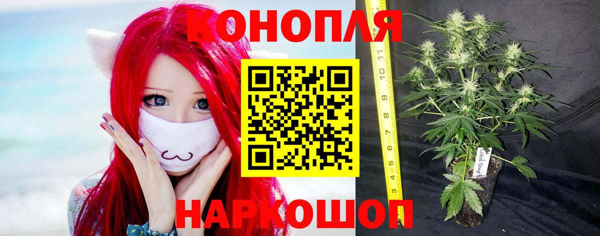 Каннабис MAZAR  Бошки марихуана план  Вход с VPN  Нововоронеж 